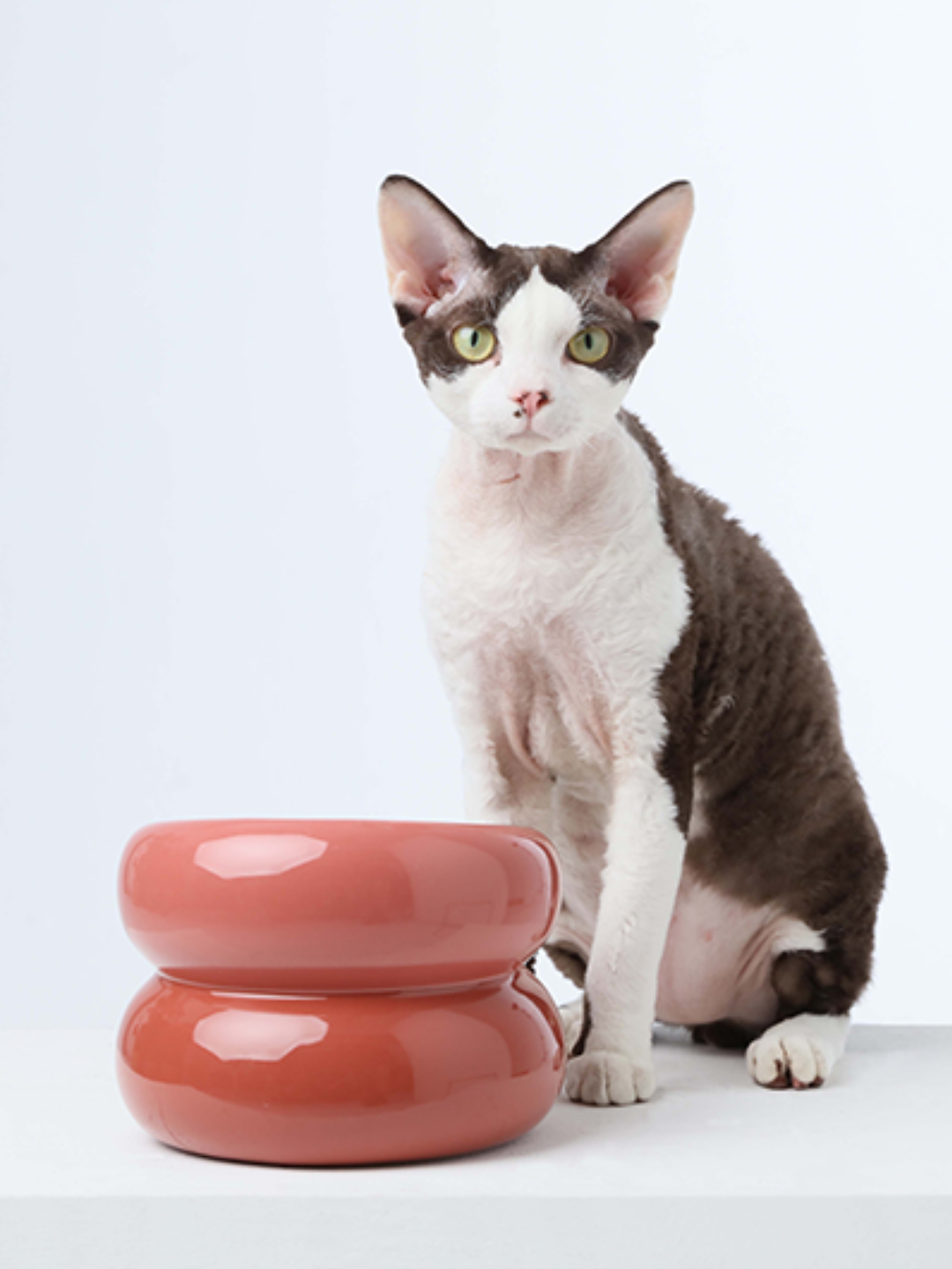 Purrfect Kingdom™ - Rose Pink Souffle Ceramic Bowl