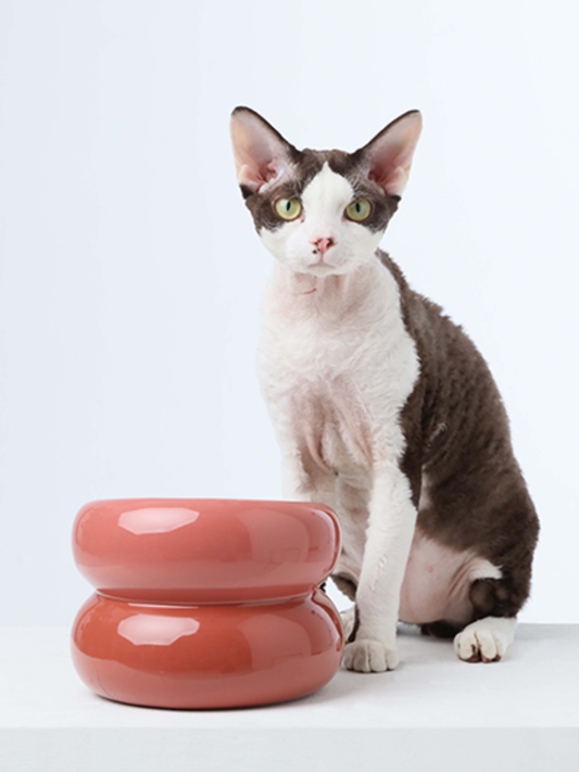 Purrfect Kingdom™ - Rose Pink Souffle Ceramic Bowl