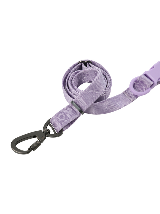 Dog Leash Padded Active Walking Lead Adjustable MINT PURPLE - main product image