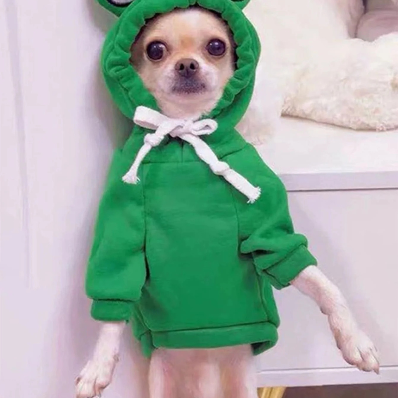 Cute Frog Pet Sweater – Green Hoodie for Small & Medium Dogs - WTN Essentials