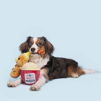 That's My Jam, Honey Plush Dog Toy Set - 2 Pk