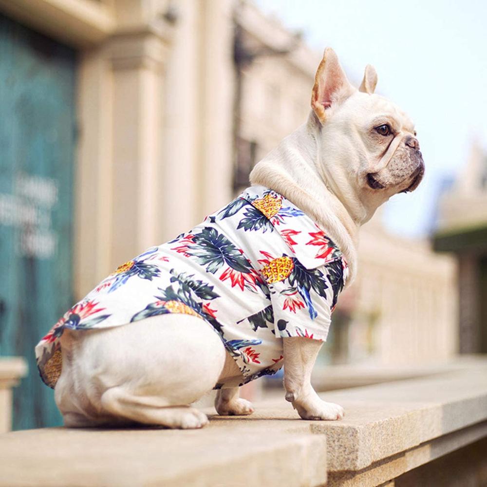 Hawaiian Pet Shirts - Purrfect Pet Kingdom