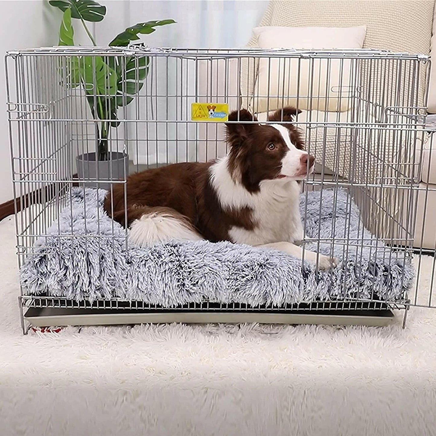 Large Dog Mat Anti-Anxiety Washable Non-Slip 🛏️