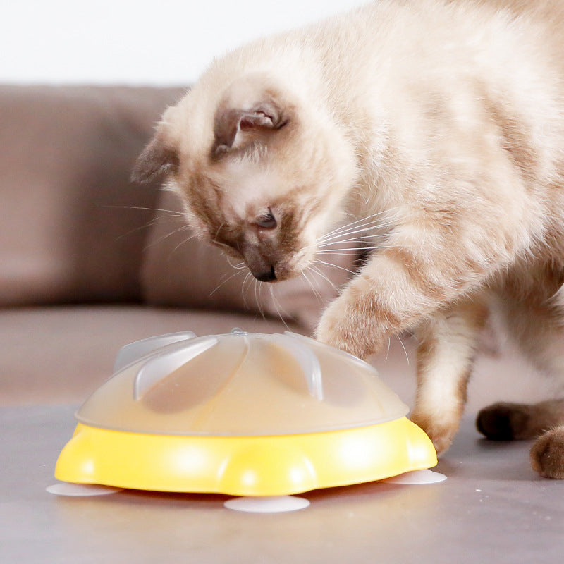 Educational Toys For Pets Entertainment Plate For Cats Snack