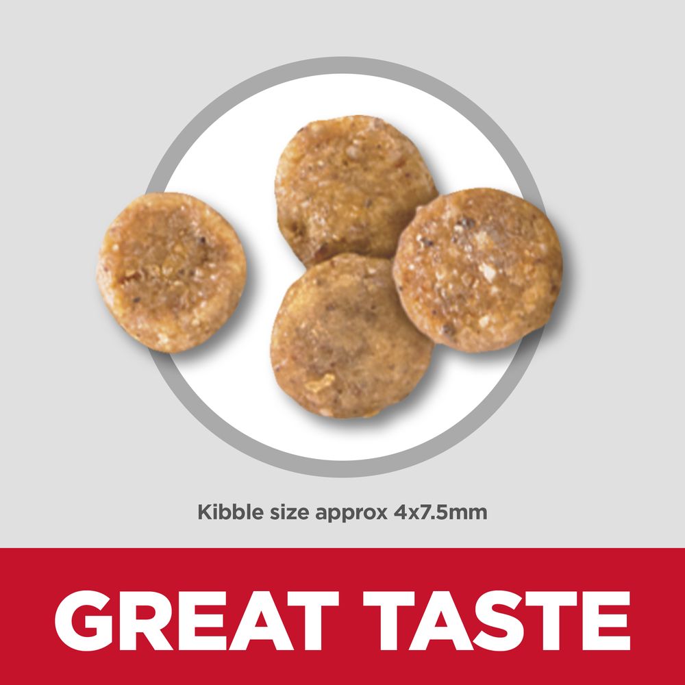 Hill's Science Diet Adult Sensitive Stomach & Skin Small & Mini Chicken Recipe Dry Dog Food Bag - Science Diet Dry Dog Food - The Family Pet