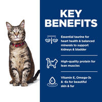 Hill's Science Diet Adult Chicken Recipe Dry Cat Food Bag (4lb)