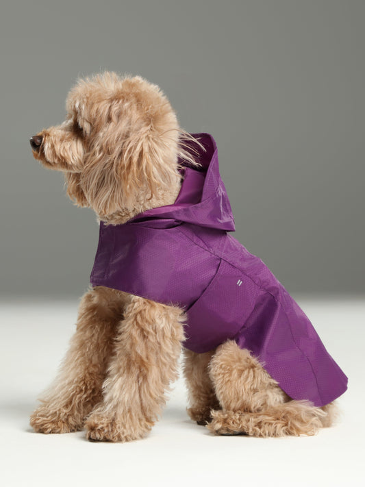 Capsule Raincoat - Purple