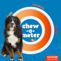 Jack & Pup Filled Dog Bone Bacon and Cheese Flavor (5-6inch)