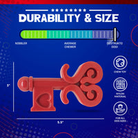 Key to My Heart Ultra Durable Nylon Dog Chew Toy