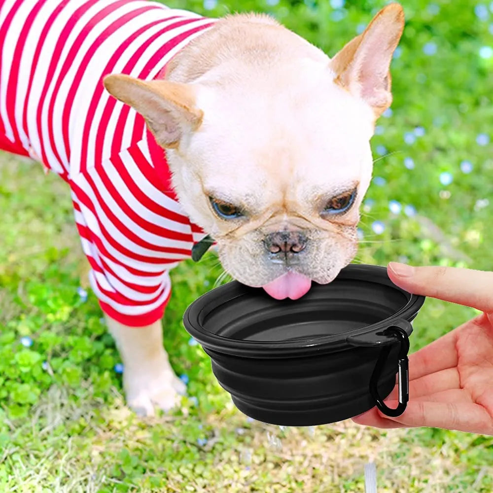 5" black portable and foldable small dog bowl by Vibhsa, set of 5, perfect for travel and outdoor use.