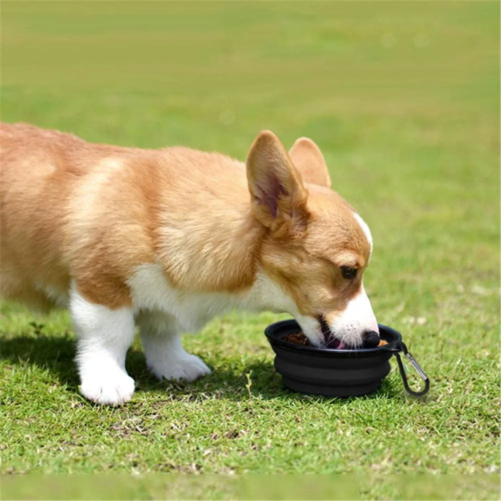 5" black portable and foldable small dog bowl by Vibhsa, set of 5, perfect for travel and outdoor use.