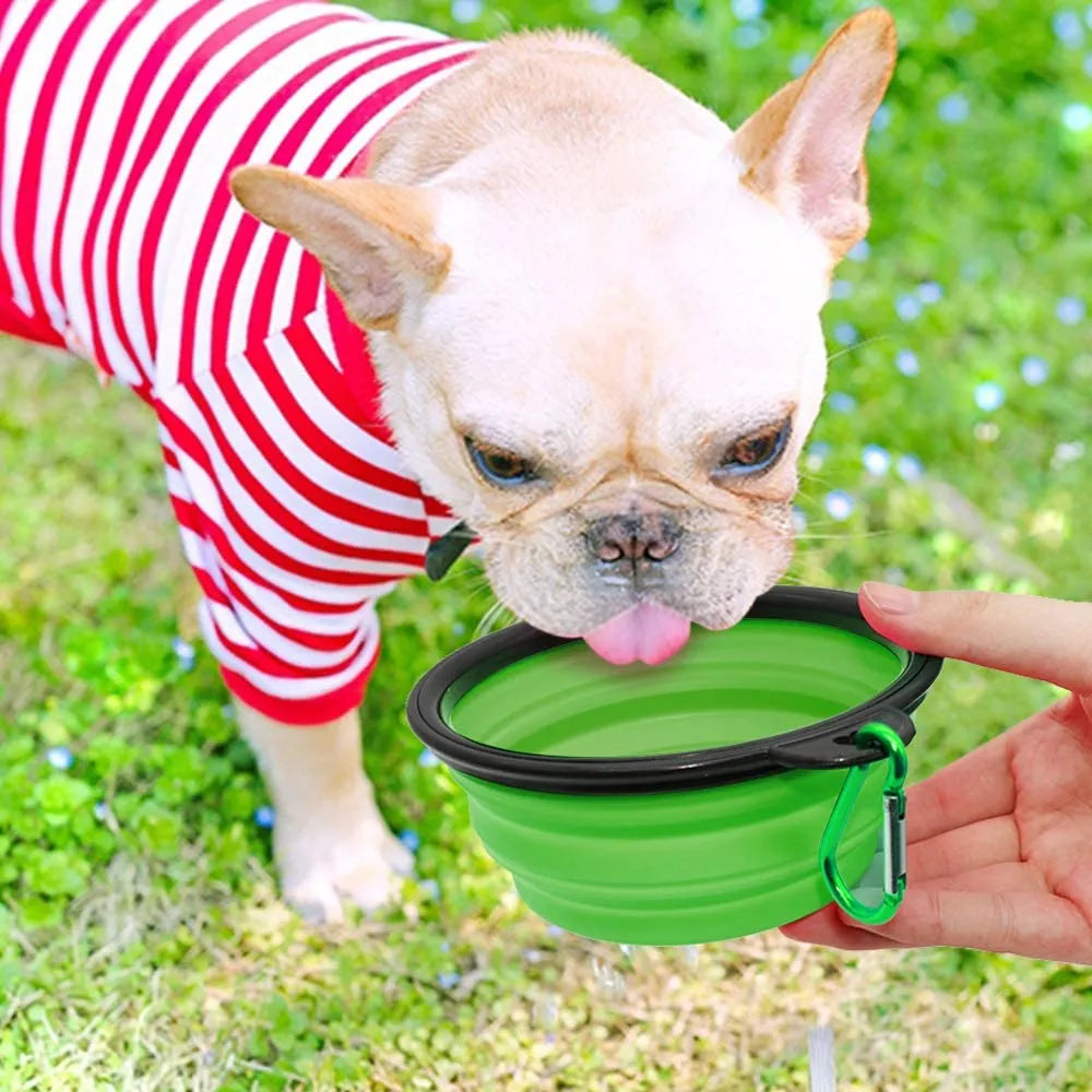 Green 5" Portable and Foldable Small Dog Bowl set of 5 by Vibhsa, perfect for travel and outdoor use.