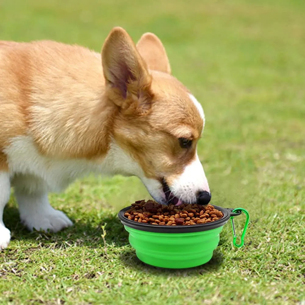 5" green portable and foldable small dog bowl set of 5 by Vibhsa, perfect for travel and outdoor use for your furry friend.