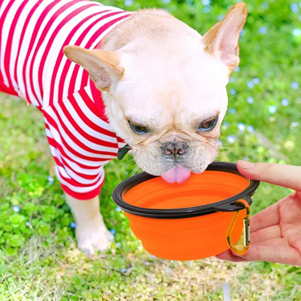 Set of 5 orange 5" portable and foldable small dog bowls by Vibhsa, perfect for travel and outdoor use.