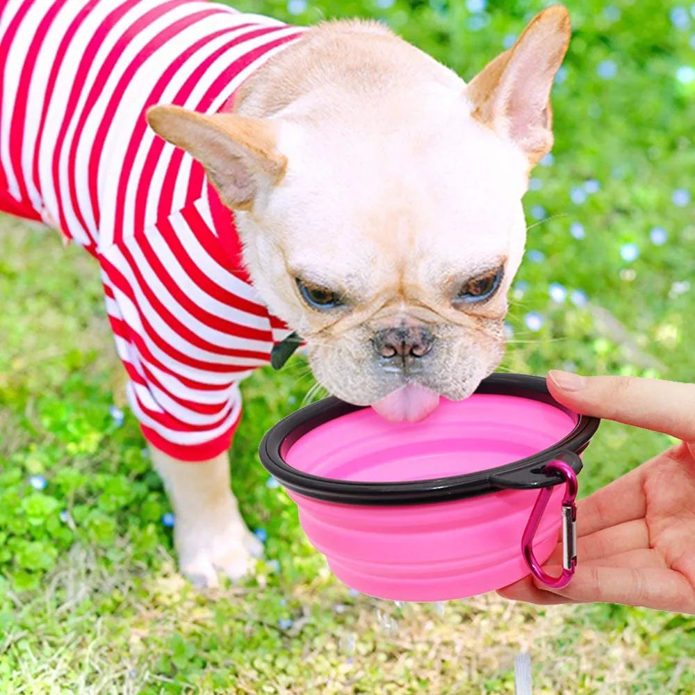 Set of 5 pink 5" portable and foldable small dog bowls by Vibhsa, perfect for travel and outdoor use.