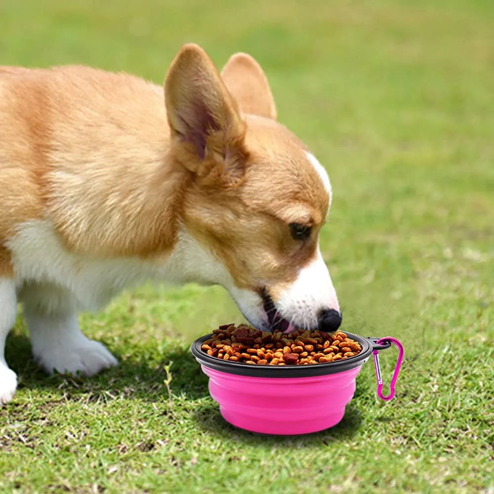 Set of 5 pink 5" portable and foldable small dog bowls by Vibhsa, perfect for travel and outdoor use.