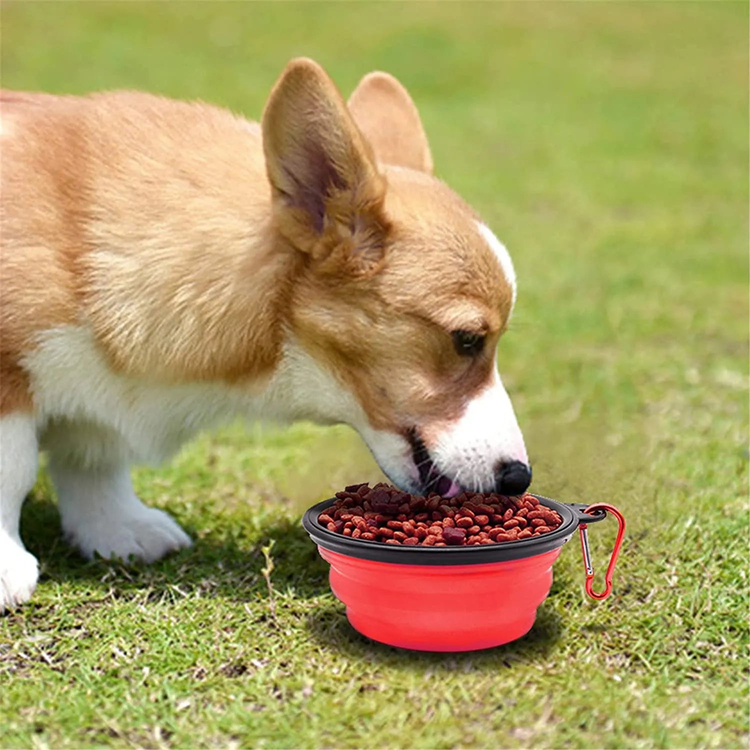 Set of 5 red 5" portable and foldable small dog bowls by Vibhsa, perfect for travel and outdoor adventures.