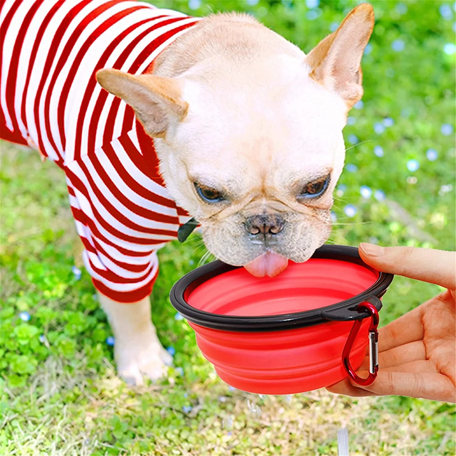 Set of 5 red 5" portable and foldable small dog bowls by Vibhsa, perfect for travel and outdoor adventures.