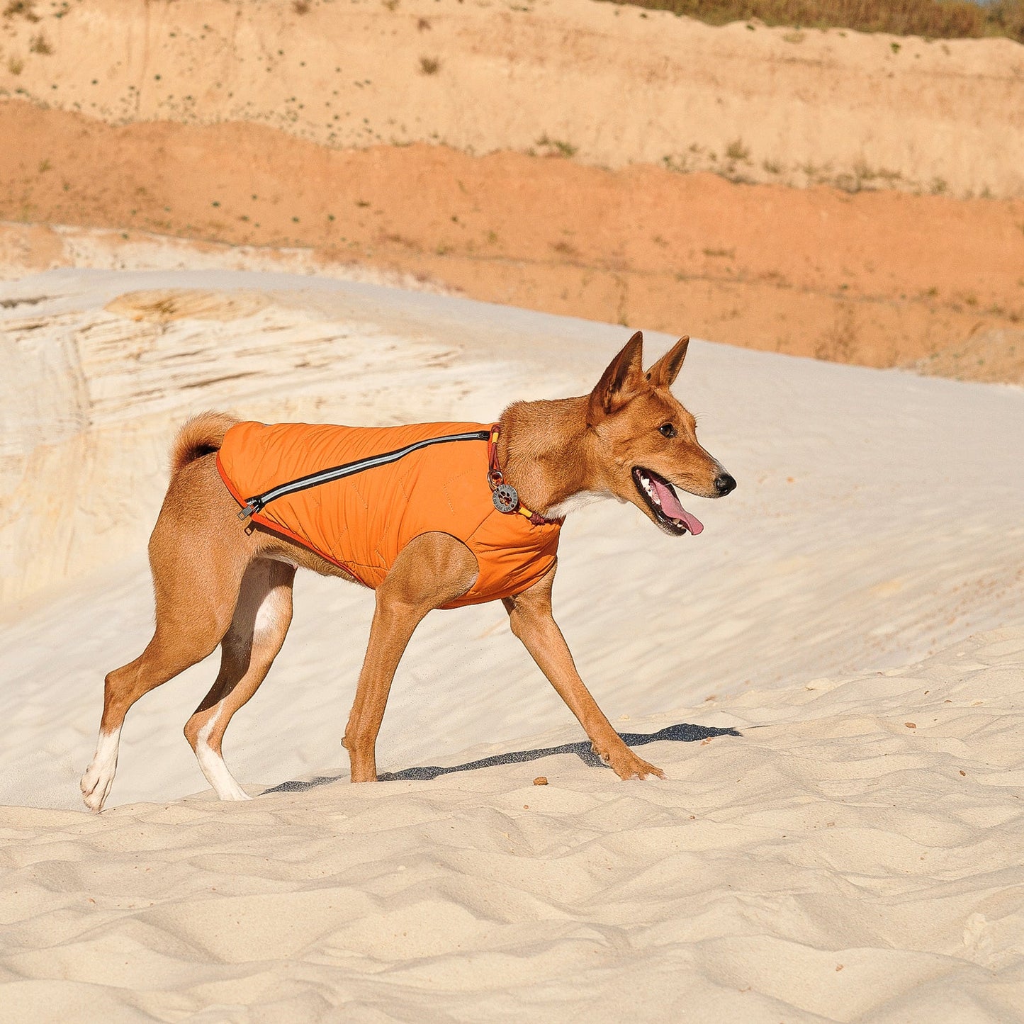 Dog Apparel Sustainable Eco-Friendly Jacket Vest Made in - gallery product image for dog apparel