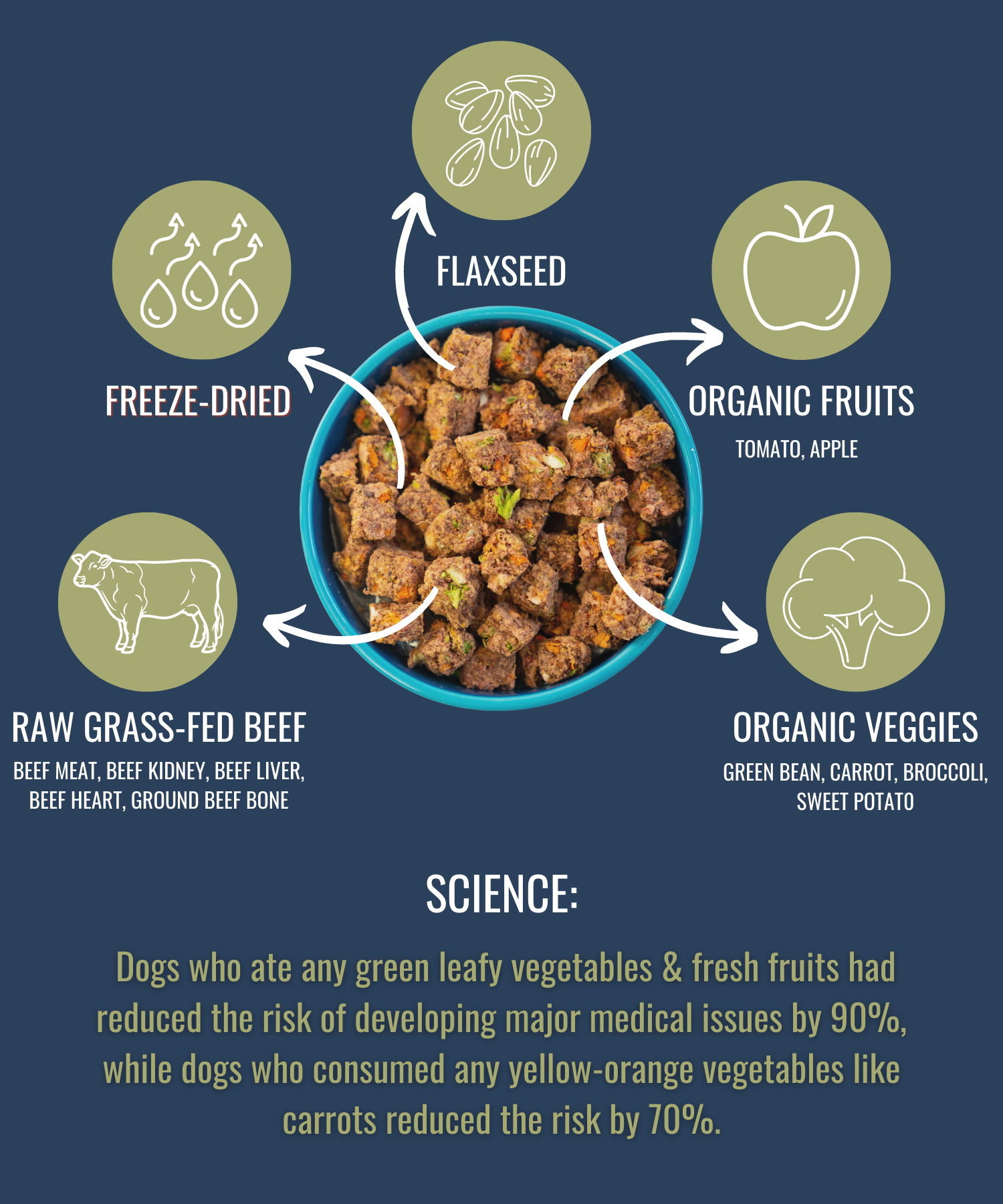 PREMIUM RAW FREEZE DRIED DOG FOOD BEEF - Purrfect Pet Kingdom