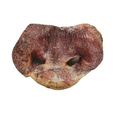 Vital Essentials Freeze-Dried Raw Chews