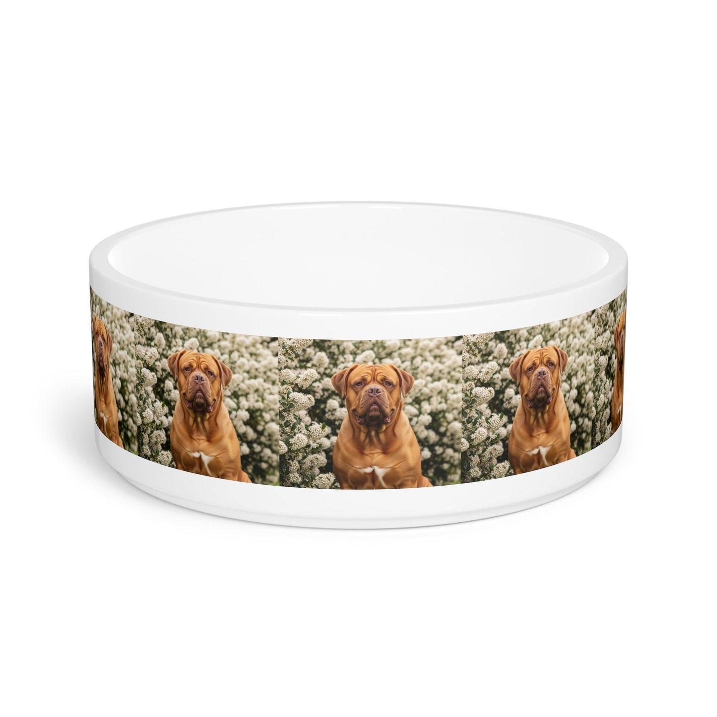 Dogue de Bordeaux Pet Bowl