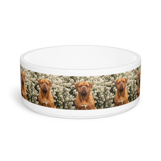 Dogue de Bordeaux Pet Bowl
