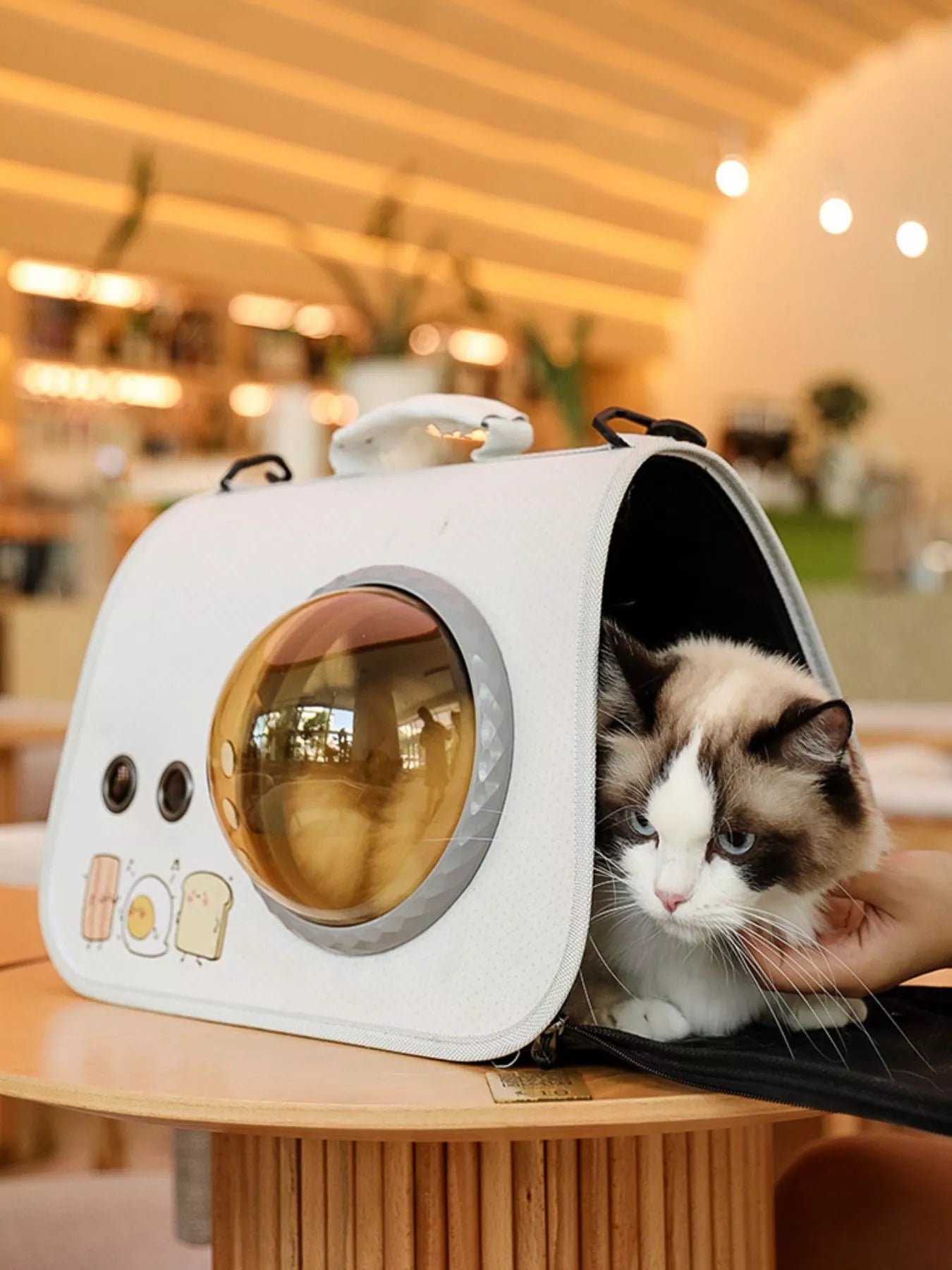 Portable Bubble Window Pet Carrier Bag