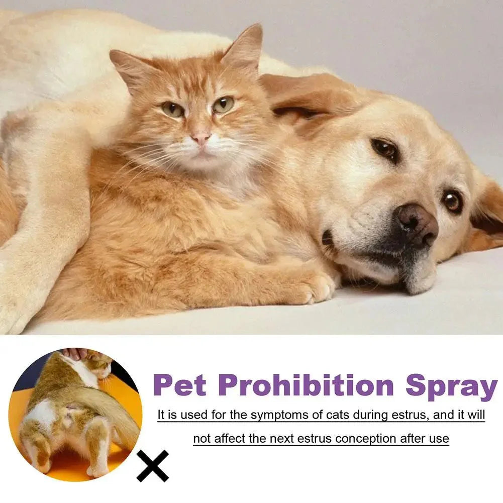 Pet Calming Spray - Purrfect Pet Kingdom
