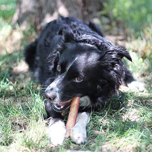 Dog Chews Bully Sticks Brazilian Grass-Fed Beef 🦴