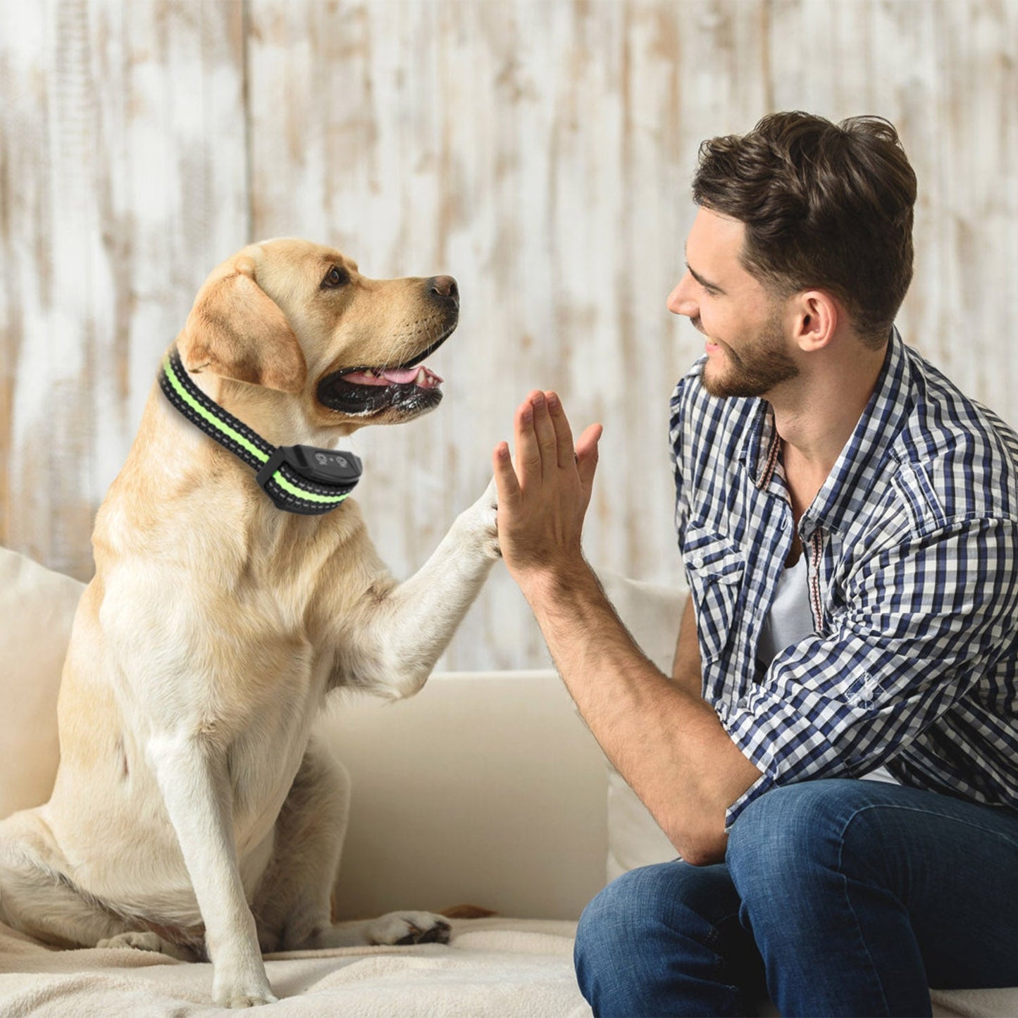 GBruno Anti-Bark Dog Collar