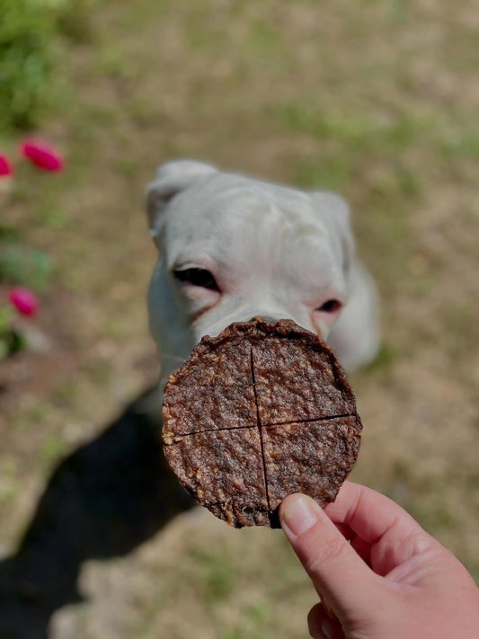 Purrfect Kingdom™ - Angus Beef Patty Quarters Gff Free