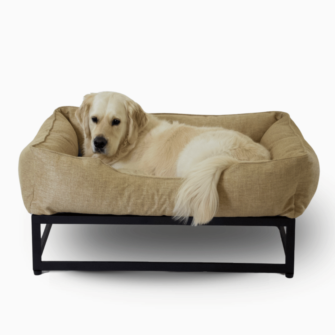 The FÜZI Dog Bed