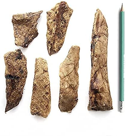 Porky Lung Fillets 12 oz - Purrfect Pet Kingdom