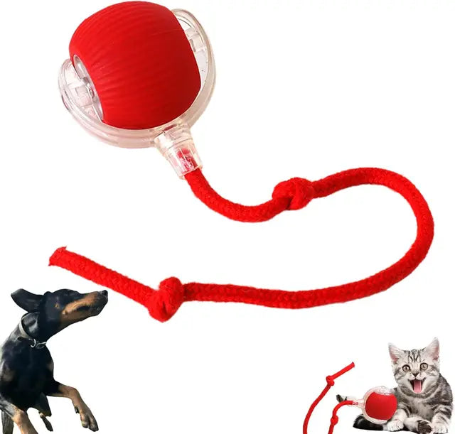 Bite resistant automatic cat teasing ball cat toy ball self fun and stress relieving tool with rope pet supplies jumping ball - Purrfect Pet Kingdom