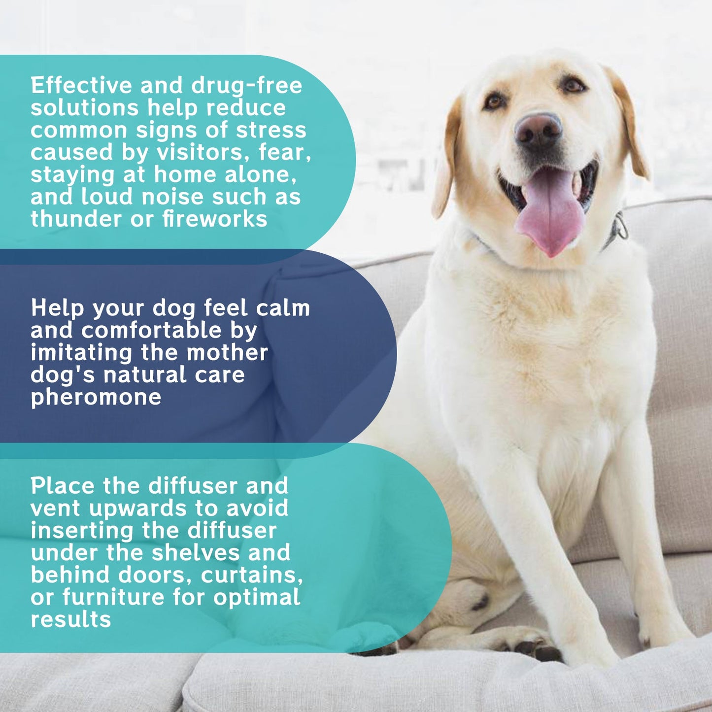 Pet Emotional Care Solution, Relieve Cats And Dogs Anxiety Fretful Comfortable And Calm Care Liquid