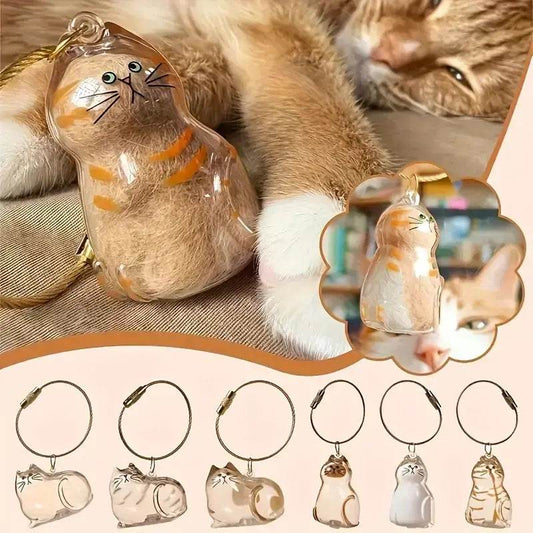 Cat Fur Memorial Keychain Transparent Pet Hair Keepsake Pendant
