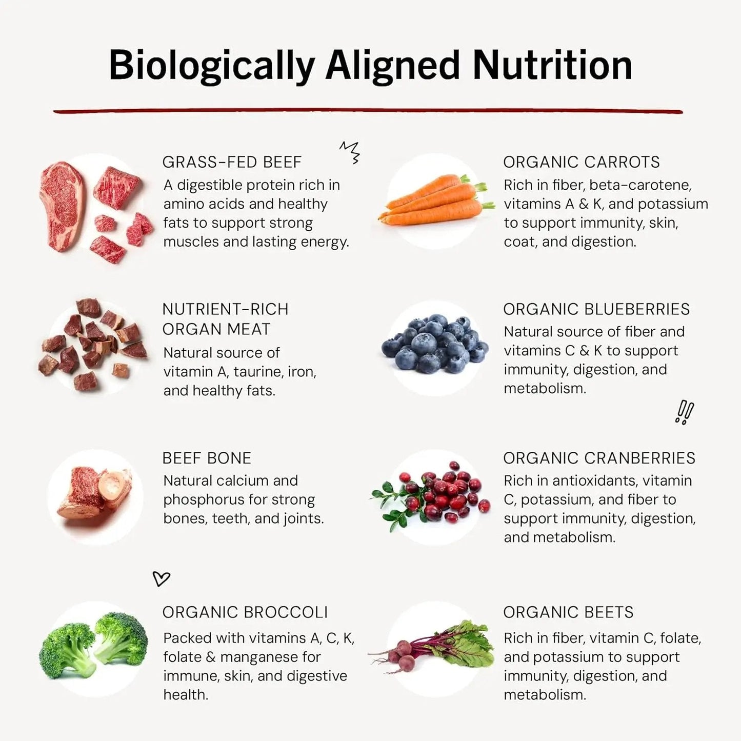 Freeze-Dried Raw Dinner Patties - Beef Recipe - High Protein Grain-Free Puppy & Dog Food - Perfect for Picky Eaters - 14 Oz