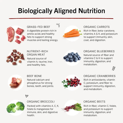 Freeze-Dried Raw Dinner Patties - Beef Recipe - High Protein