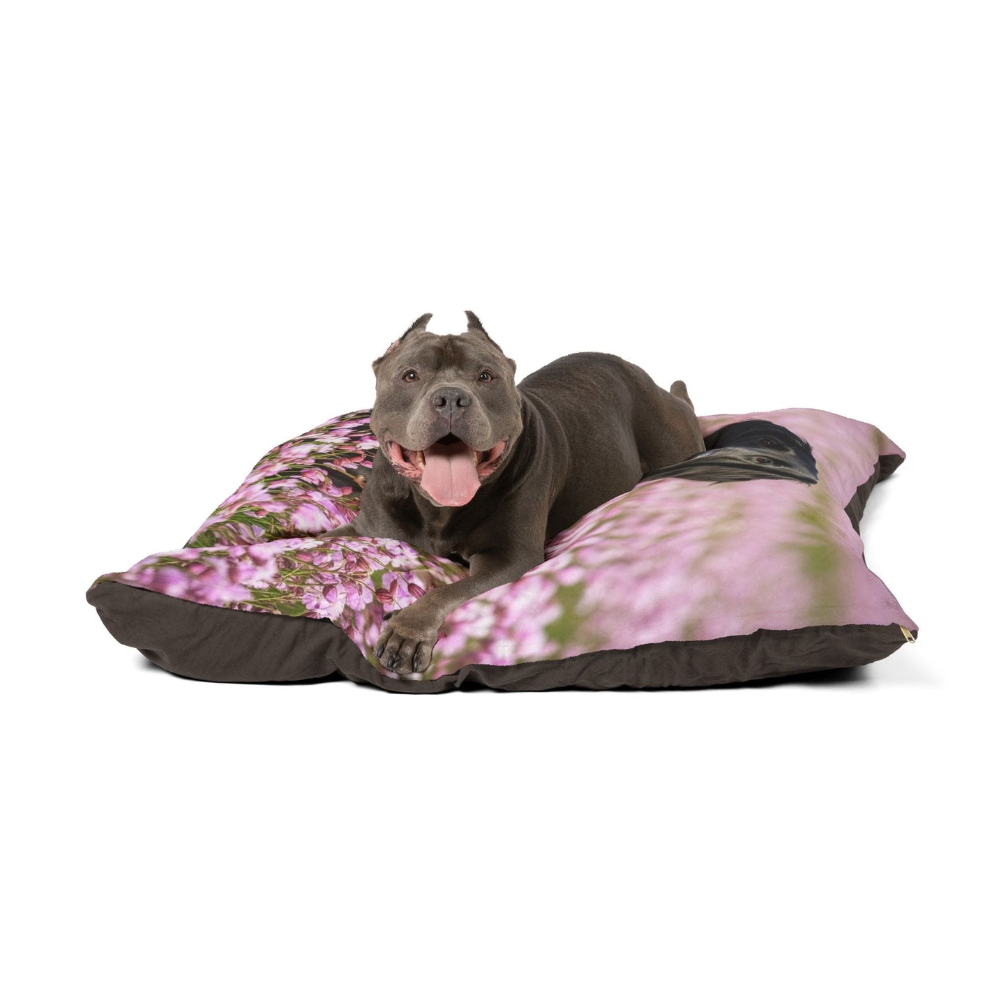 Flat Coated Retriever Pet Bed