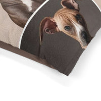 Hairless Dogs Pet Bed