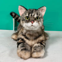 Plush American Shorthair Order to Make