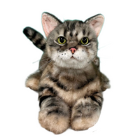 Plush American Shorthair Order to Make