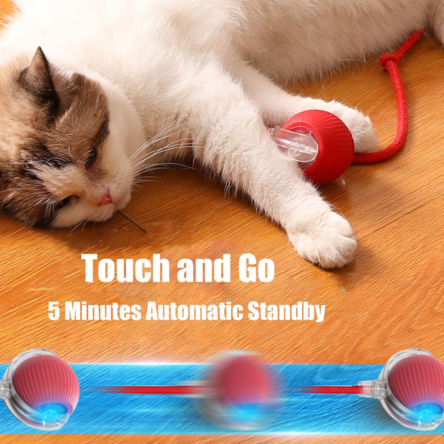 Cat playing with red silicone smart rolling ball. Touch-activated with 5-minute standby. Purrfect Pet Kingdom.