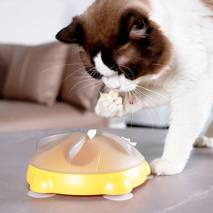 Educational Toys For Pets Entertainment Plate For Cats Snack