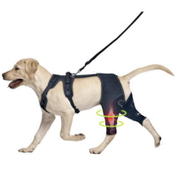 Pet Leg Support Dog Knee Brace Post-Surgery Rehabilitation