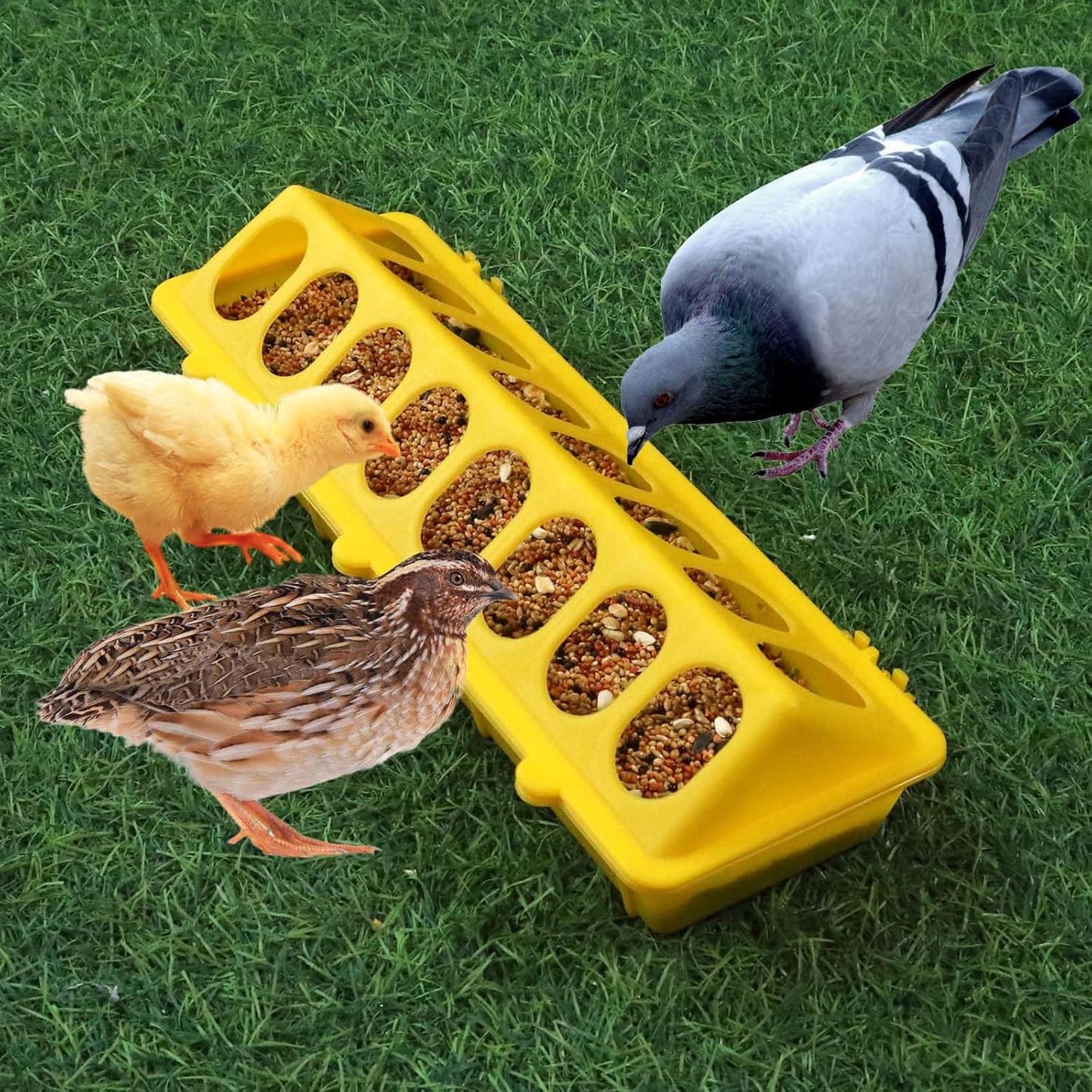 Little Giant Flip-Top Poultry Ground Feeder 20-Inch, Yellow 2-Pack