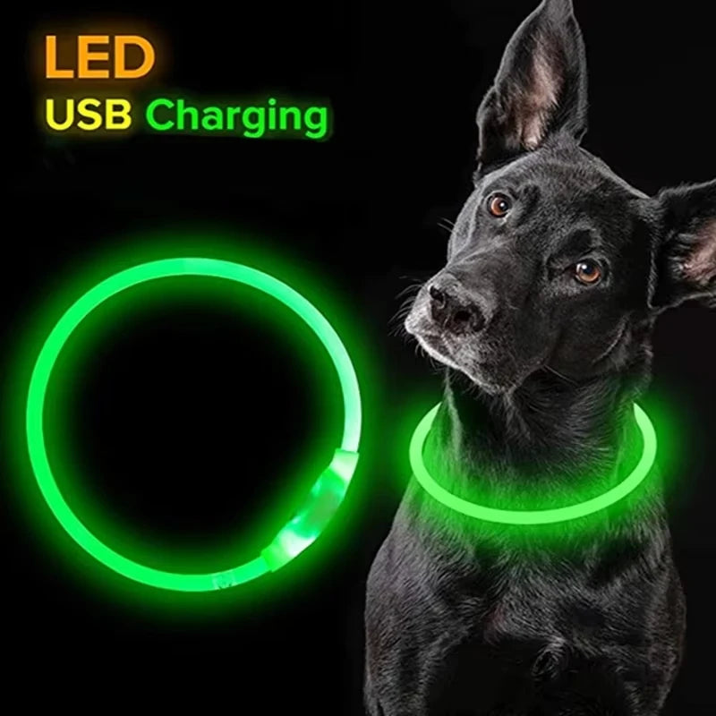Night walk dog USB charging Light dog collar Led night light battery dog loss prevention puppy cat collar