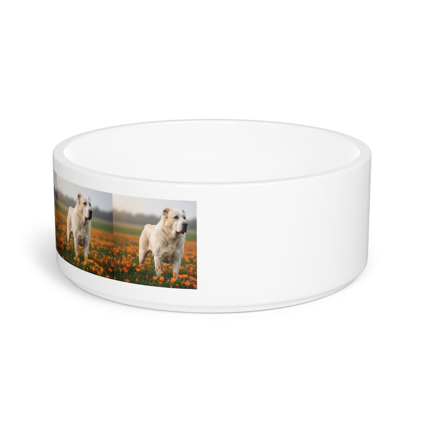 Central Asian Shepherd Dog Pet Bowl