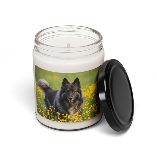 Belgian Sheepdog- Scented Soy Candle, 9oz